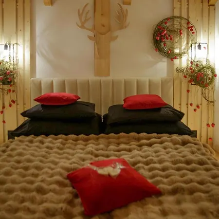 Wislanski Renifer Lägenhetshotell Wisła