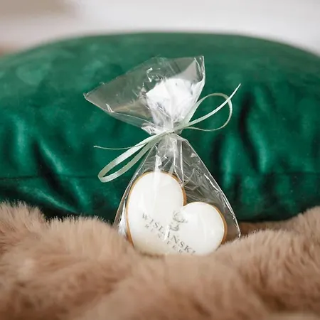 Wislanski Renifer Lägenhetshotell 3*