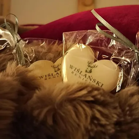 Lägenhetshotell Wislanski Renifer Wisła