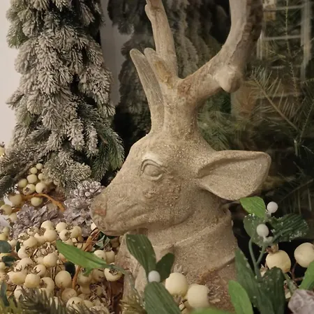 Wislanski Renifer 3* Wisła