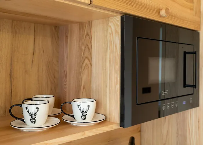 מלון דירות Wislanski Renifer