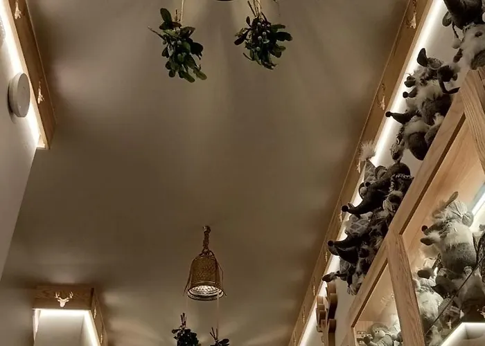 Wislanski Renifer 3*