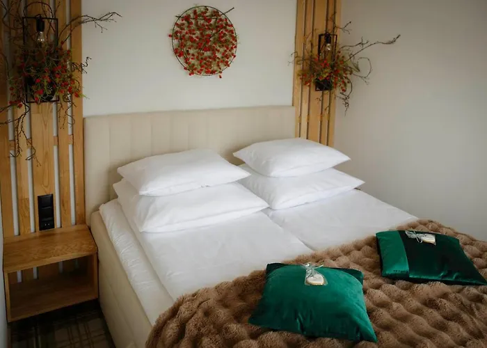 מלון דירות Wislanski Renifer ויסלאו