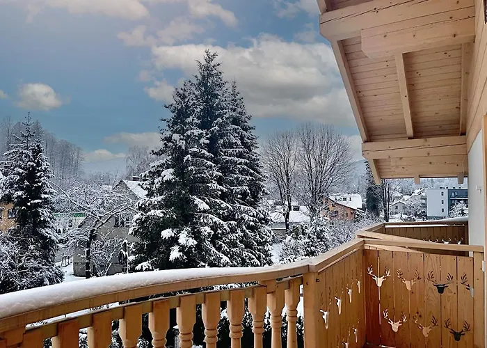 מלון דירות Wislanski Renifer