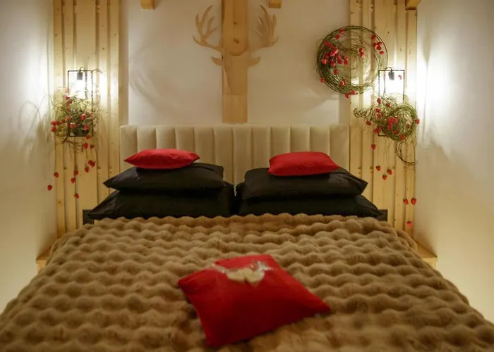 Wislanski Renifer מלון דירות ויסלאו