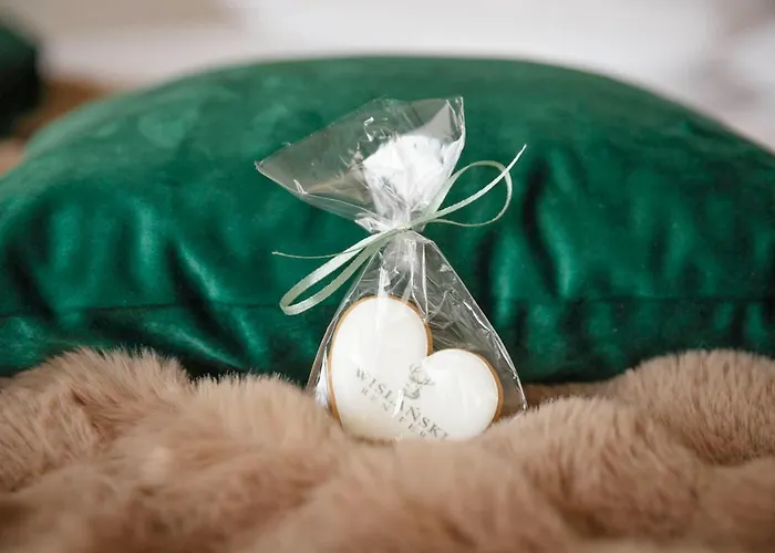 Wislanski Renifer מלון דירות 3*