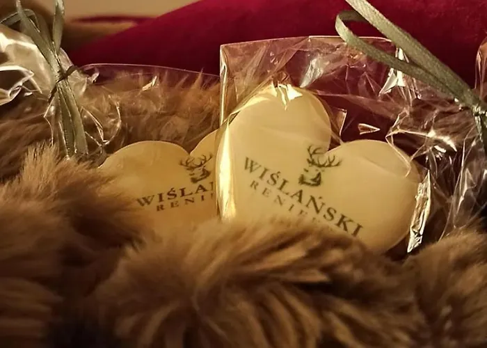 מלון דירות Wislanski Renifer ויסלאו