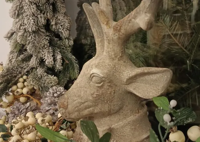 Wislanski Renifer 3* ויסלאו